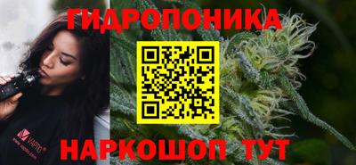 индика Ипатово